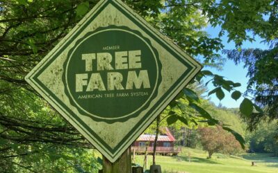 Learning from each other, learning from the land: Lee’s Tree Farm kicks off Coon Creek Community Watershed Council’s 2024 field season