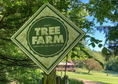 The entrance to Toby Lee and Joan Greendeer-Lee's Coon Valley Tree Farm. Toby and Joan will host CCCWC's General Meeting at their home June 5th.