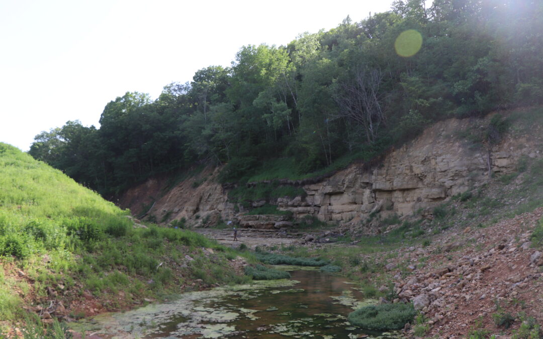 Conservation historian to share new book at June 4 CCCWC Meeting.