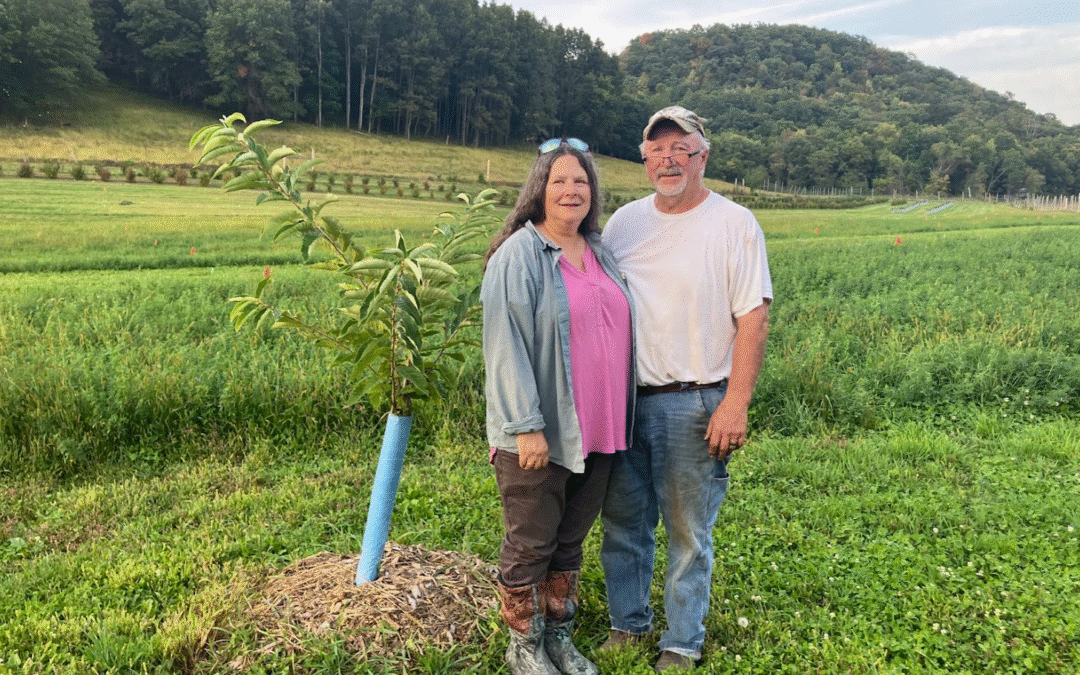 Final outdoor watershed council meeting of 2025 to feature hazelnuts and emerging local food systems