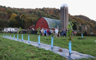 Hazelnut specialist to join watershed council at February meeting