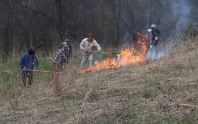 Getting together for good fire