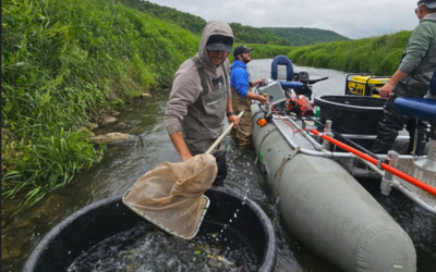 Electrofishing and Coon Creek fisheries updates at July 1st Watershed Council Meeting