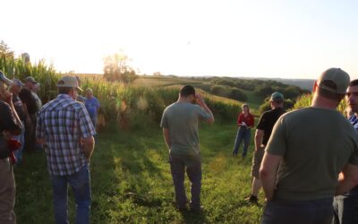 Reflections from five years of community conservation and a beautiful night at the Bakkum Farm